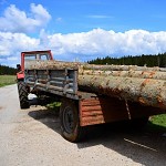 Tracteur et bois. טרקטור שרובו עץ